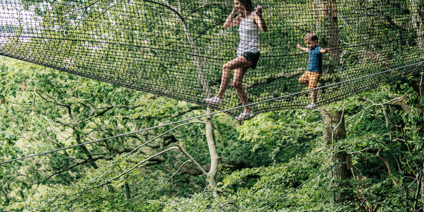 Trampolines dans les arbres Trampôforest.jpg